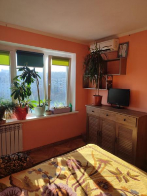 One room in apartment in the park center area of Chisinau